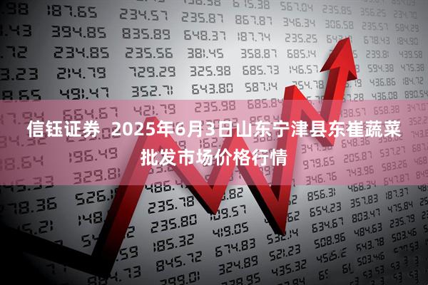 信钰证券  2025年6月3日山东宁津县东崔蔬菜批发市场价格行情