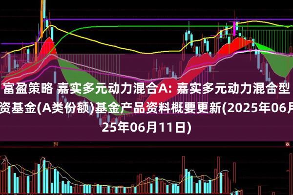 富盈策略 嘉实多元动力混合A: 嘉实多元动力混合型证券投资基金(A类份额)基金产品资料概要更新(2025年06月11日)