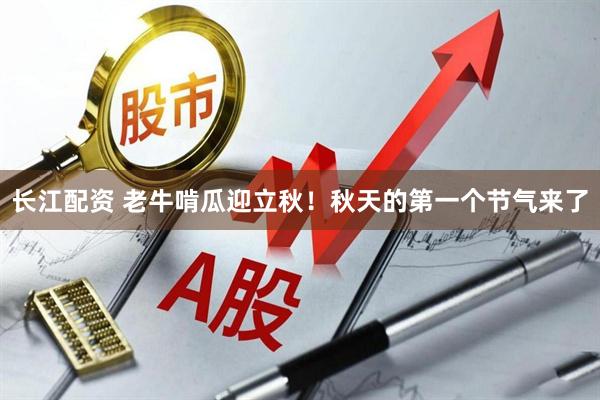 长江配资 老牛啃瓜迎立秋！秋天的第一个节气来了