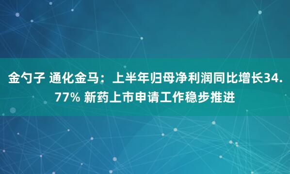 金勺子 通化金马：上半年归母净利润同比增长34.77% 新药上市申请工作稳步推进