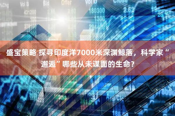 盛宝策略 探寻印度洋7000米深渊鲸落，科学家“邂逅”哪些从未谋面的生命？